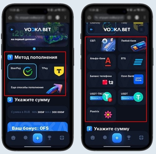 Платежные системы в Водка казино