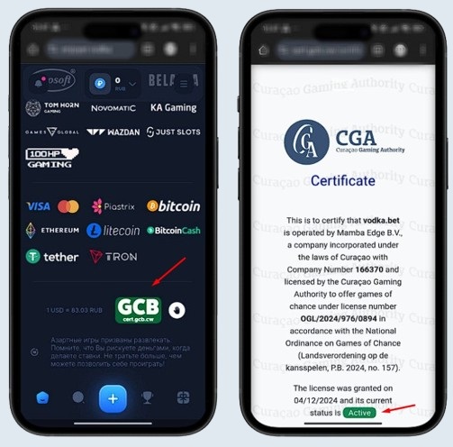 Лиценция казино Водки